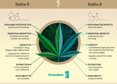 Delta 8 vs. Delta 9 THC: A Comprehensive Guide for Wellness Enthusiasts in New England