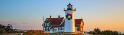 Experience Serene Holidays with CBD Gummies in New England | Primabee