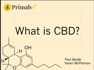 "What is CBD?" Presentation by Founder Paul Bordé