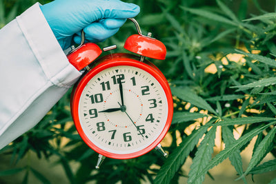 When's the Best Time to Take CBD?