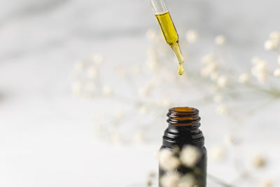 What Are The Benefits Of CBD Hemp Oil?